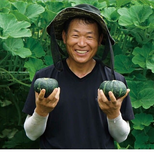 강원더몰,영월 무농약 단호박 5kg - 단호박라떼, 단호박죽용