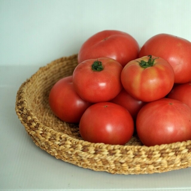 영월몰,유기농토마토 5kg